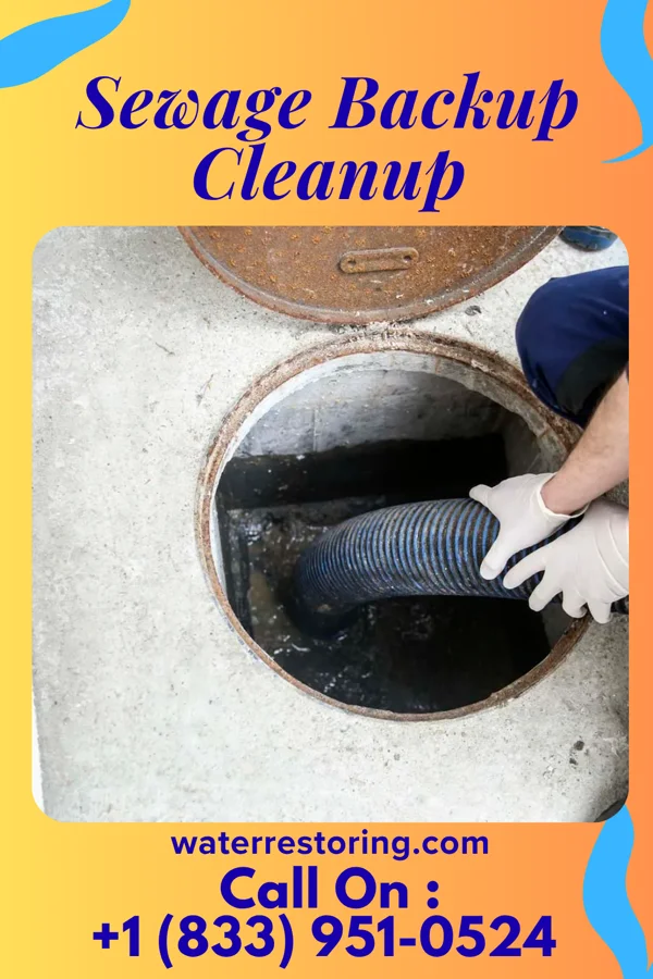 Sewage Backup Cleanup in Grandview Plaza, KS